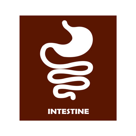intestines vector illustration symbol designのイラスト素材