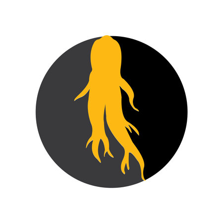 Ginseng icon Vector Illustration design Logo templateのイラスト素材