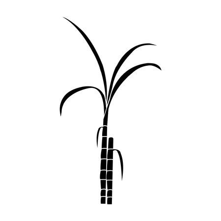 Sugar cane icon Vector Illustration design Logo templateのイラスト素材