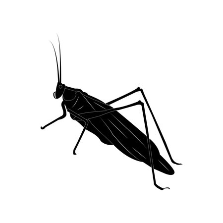 grasshopper icon vector illustration simple designのイラスト素材