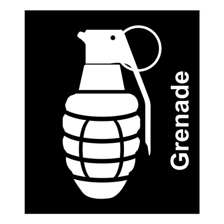 Grenade icon vector illustration symbol designのイラスト素材