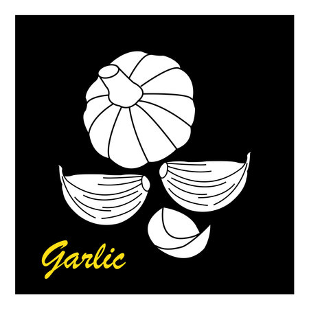 Garlic icon vector illustration symbol designのイラスト素材