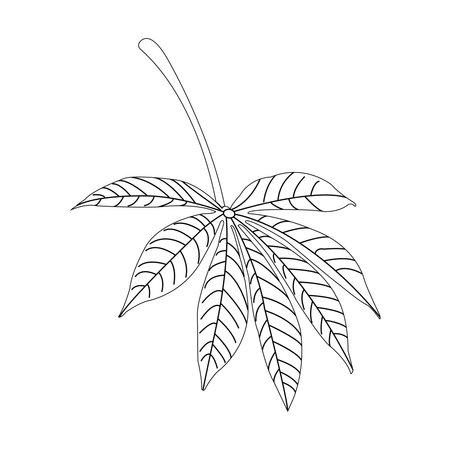 Cassava leaf icon vector symbol designのイラスト素材