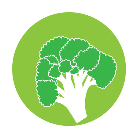 Broccoli icon vector illustration template designのイラスト素材