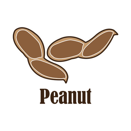 Peanut icon vector illustration symbol designのイラスト素材