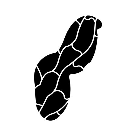 Peanut icon vector illustration symbol designのイラスト素材