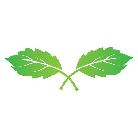 Leaf icon vector illustration symbol designのイラスト素材