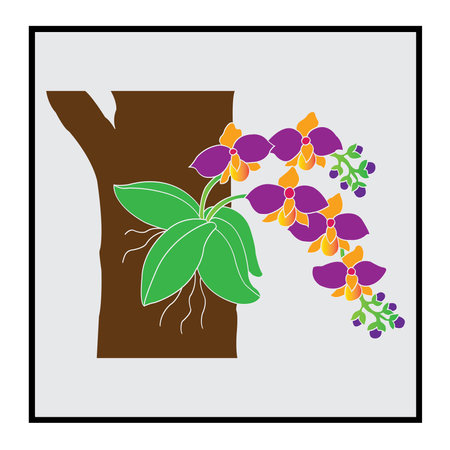 Orchid flower icon vector illustration symbol designのイラスト素材