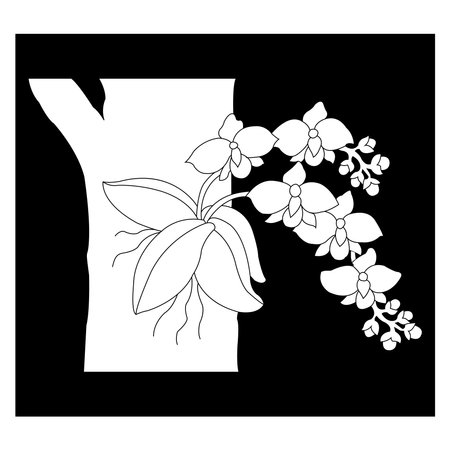 Orchid flower icon vector illustration symbol designのイラスト素材