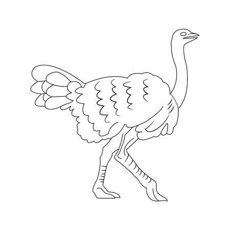 Ostrich icon vector illustration designのイラスト素材