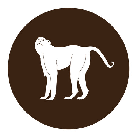Monkey icon vector illustration symbol designのイラスト素材