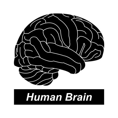 Human brain icon vector illustration designのイラスト素材