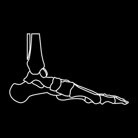 Human leg bones icon vector illustration designのイラスト素材
