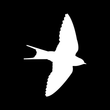 Swallow logo vector illustration design template.のイラスト素材