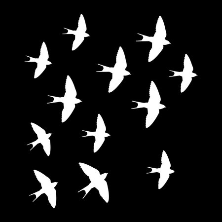 Swallow logo vector illustration design template.のイラスト素材