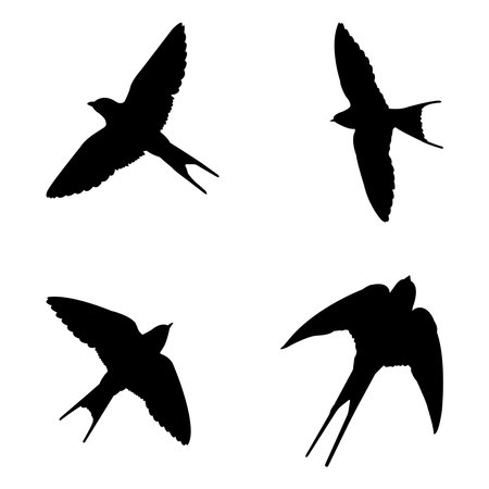 Swallow logo vector illustration design template.のイラスト素材
