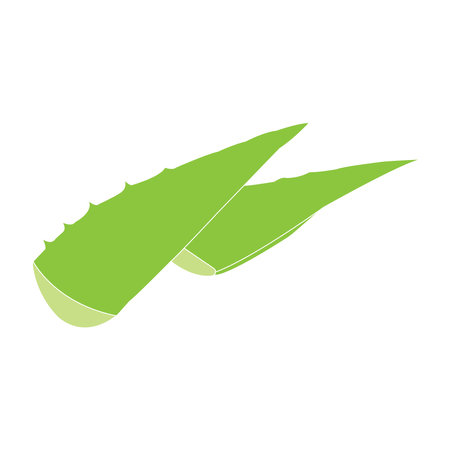 Aloe vera icon icon vector illustration symbol designのイラスト素材