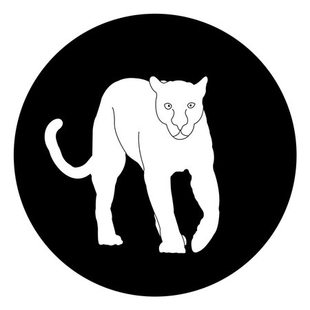 panther icon vector illustration designのイラスト素材