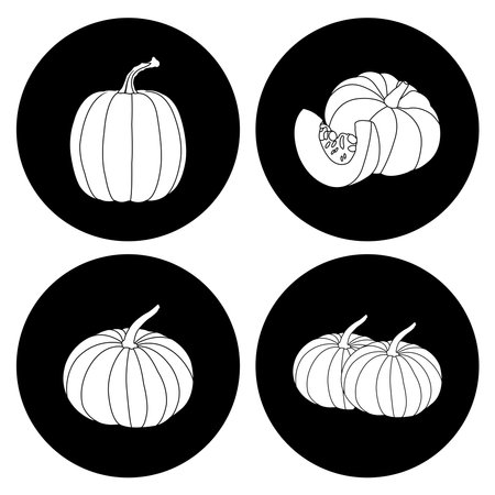 pumpkin fruit icon vector illustration designのイラスト素材