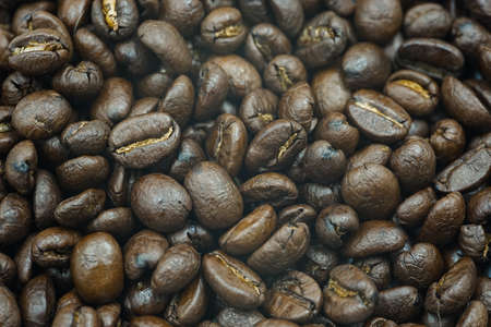 fresh coffee bean for coffee cup very testyの写真素材