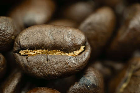 fresh coffee bean for coffee cup very testyの写真素材