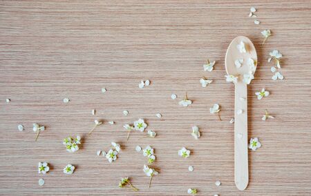 eco-friendly, disposable tableware, without plastic, with elements of fresh plants .spoons.glasses