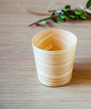 eco-friendly, disposable tableware, without plastic,with green leavesの写真素材