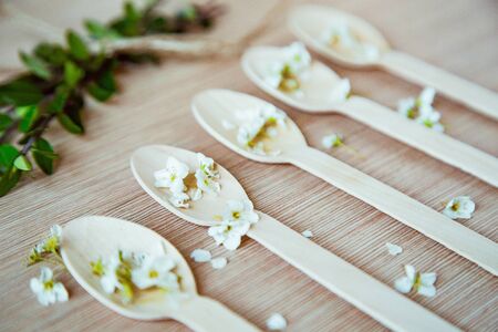 eco-friendly, disposable tableware, without plastic, with elements of fresh plants .spoons.glassesの写真素材
