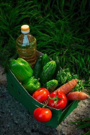 eco-friendly cardboard box, green, with a set of products, stands on the green grassの写真素材
