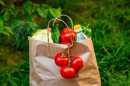 brown paper bag with vegetables, standing on the green grassの写真素材