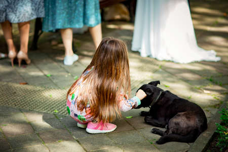 a little girl sits next to a dog in a Park on a summer dayのeditorial素材