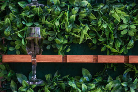 champagne in a clear glassの写真素材