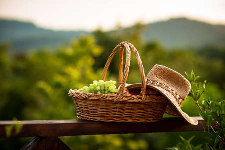 eco-friendly basket with grapes and hat made of eco-material, against the background of mountains and plantsの写真素材