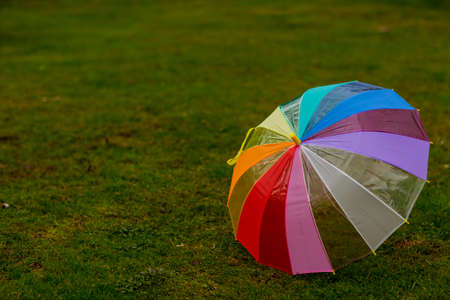 a colored umbrella stands on the green grass, during the dayの写真素材