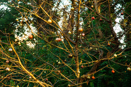 Creative decoration with Christmas balls, on bare tree branches in the city