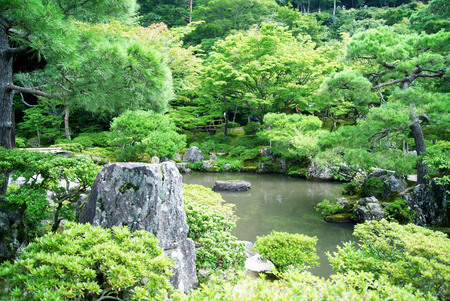Japanese garden landscape - imageの写真素材