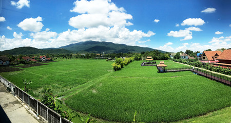 Green rice field with mountains and blue sky landscape in Chaing man, Thailand - imageの写真素材