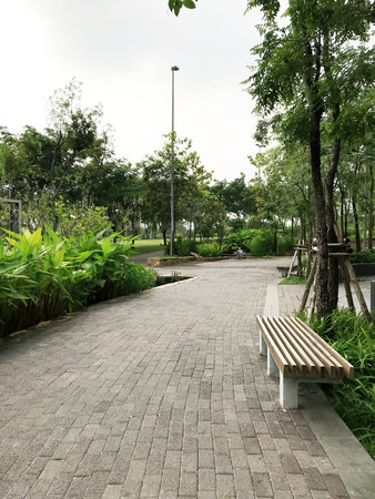 Walkway in the parkの写真素材