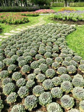 Garden in the parkの写真素材