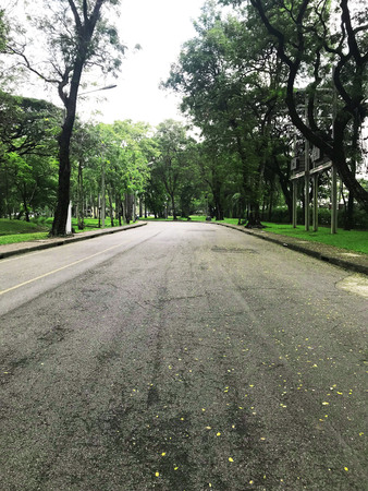 Walkway in the parkの写真素材