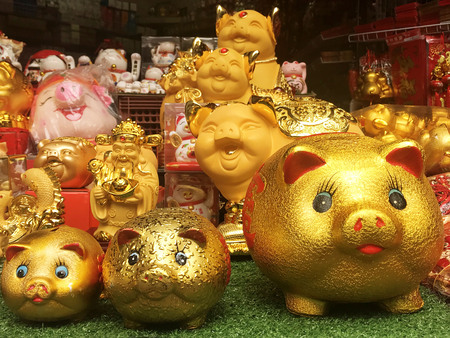 2019 is year of the pig, Gold piggy bank, chinese new yearの写真素材