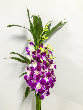 Beautifel orchid Bouquet on white backgroundの写真素材