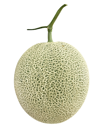 Japanese melon isolated on the white backgroundの写真素材