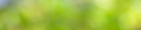 Natural blurred spring and summer bokeh, border design panoramic bannerの写真素材