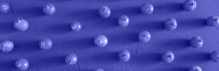 Tomatoes cherry, scattered in a chaotic manner on a Purple Background. Food background, design panoramic banner. Trendy Image, Toned in Color of the year 2022, Very Peri.の写真素材