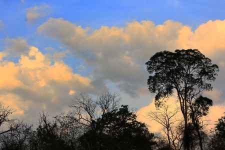 Beautiful Sunrise with orange sky silhouette Backgroundの写真素材
