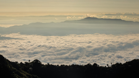 Morning mistの写真素材