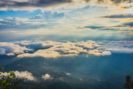 Morning Mist at Tropical Mountain Range