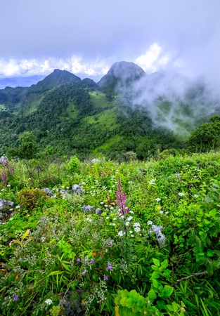 Morning Mist at Tropical Mountain Rangeの写真素材