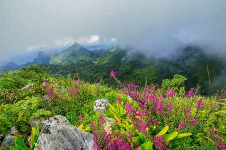 Morning Mist at Tropical Mountain Rangeの写真素材